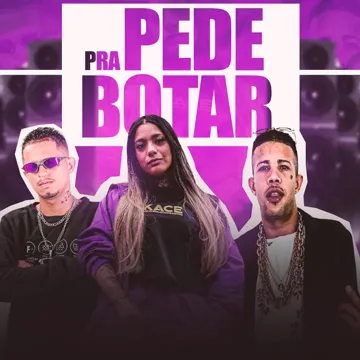 Pede pra Botar (Remix)-cover