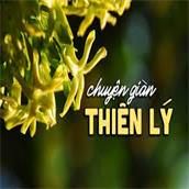 chuyen gian thien ly-cover