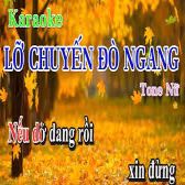 Lỡ Chuyến Đò Ngang-cover