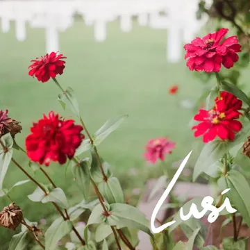 coveImg