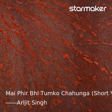 Mai Phir Bhi Tumko Chahunga (Short Ver.)-cover