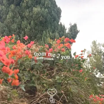 coveImg