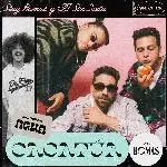 Cacatúa-cover