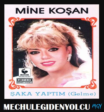Mine Koşan Gelme-cover