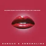 Sangue e adrenalina-cover
