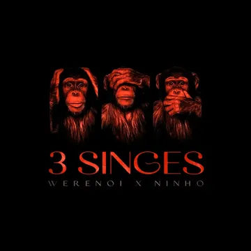 3 singes-cover