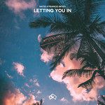 Letting You In-cover