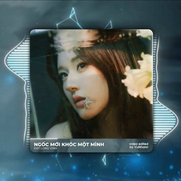 Ngốc Mới Khóc Một Mình (Remix)-cover