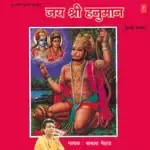 Kamna Hriday Ki Suna Ke Dekh Le-cover