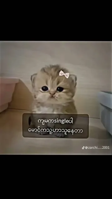 coveImg