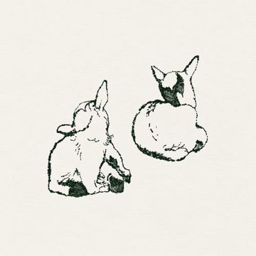 Lesson Learned-cover