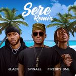 Sere(Remix)-cover