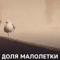 coveImg