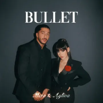 Bullet-cover
