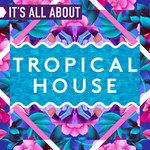 Without You(Hayden James Remix)