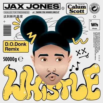 Whistle (D.O.Donk Remix)-cover