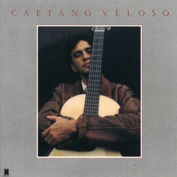 Você não me ensinou a te esquecer-cover