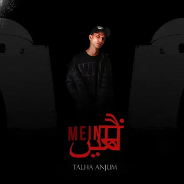 Mein Aur Mere Idols-cover