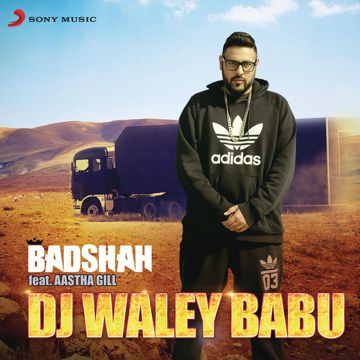 Dj Waley Babu-cover