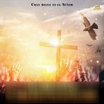 Viva La Fe-cover