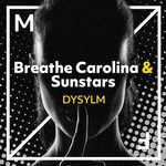 DYSYLM-cover