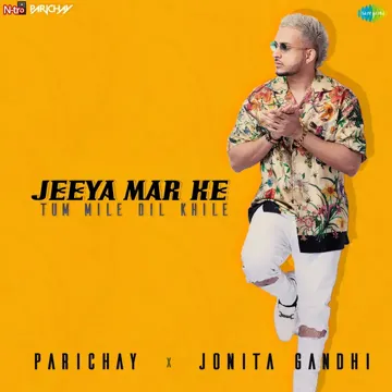 Jeeya Mar Ke Tum Mile Dil Khile-cover