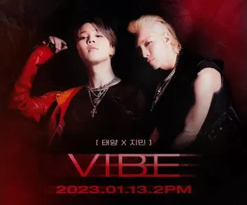 vibe-cover