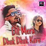Dil Mera Dhok Dhok Kore-cover