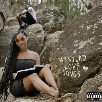 Vibe-cover