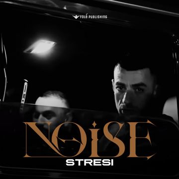Noise-cover