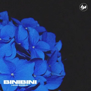 Binibini