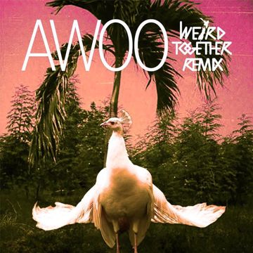 Awoo(Weird Together Remix)-cover