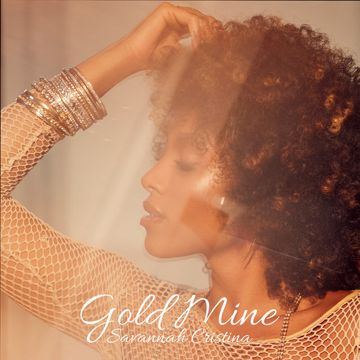 Gold Mine-cover