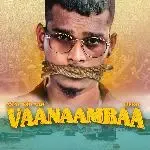 Vaanaambaa-cover