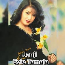 Janji (Remix Dangdut)-cover