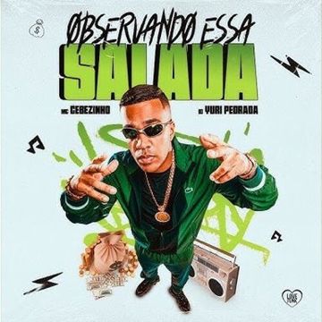 Observando Essa Salada-cover