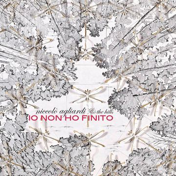 Io non ho finito-cover