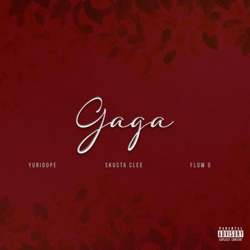 Gaga-cover