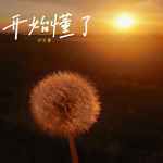 开始懂了(林宝馨版)-cover
