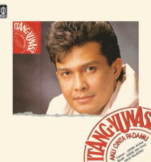 Aku Cinta Padamu-cover