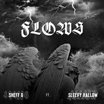 Flows-cover