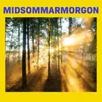 Den Sommaren-cover