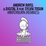 Winterburn(Jorn van Deynhoven Extended Remix)-cover