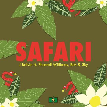 Safari-cover