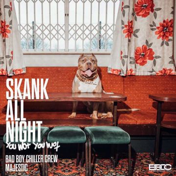 Skank All Night (You Wot, You Wot)-cover
