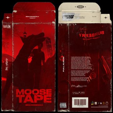 295-cover