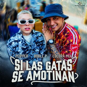 Si Las Gatas Se Amotinan-cover