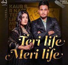Teri Life Meri Life-cover