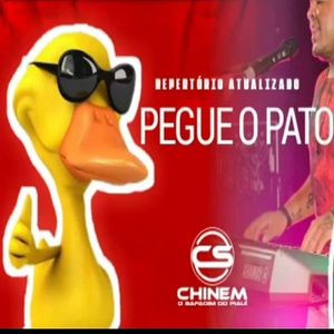 pega o pato-cover