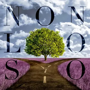 Non Lo So-cover